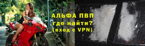 СК Аркадак