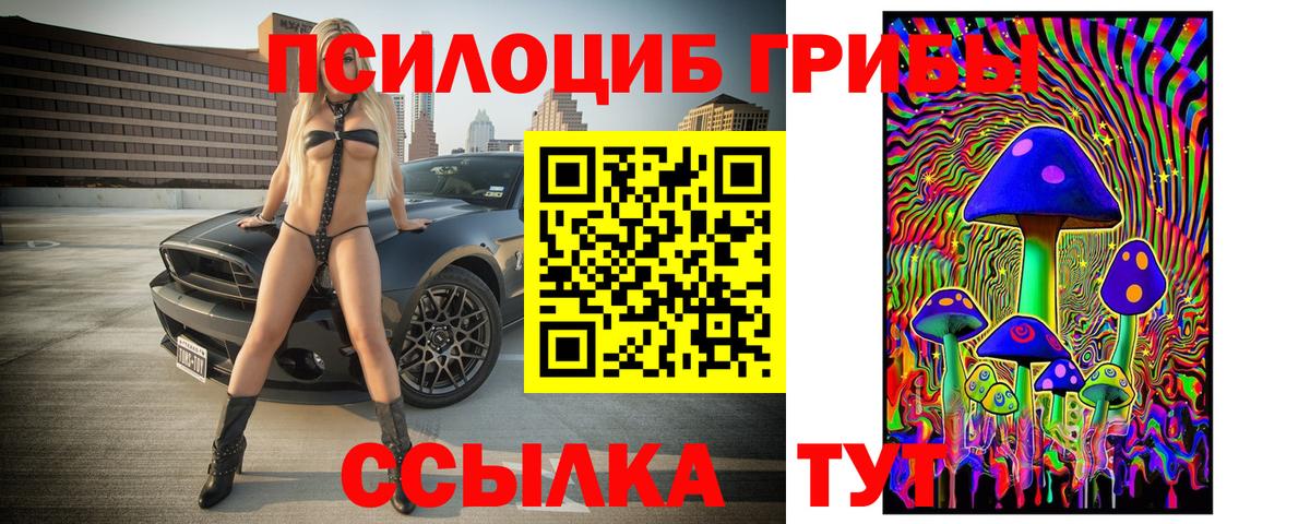 Галлюциногенные грибы MAGIC MUSHROOMS  Вход с VPN  Ипатово  Галлюциногенные грибы Psilocybine cubensis 