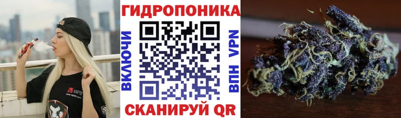 Шишки марихуана Amnesia  где продают   Ипатово 